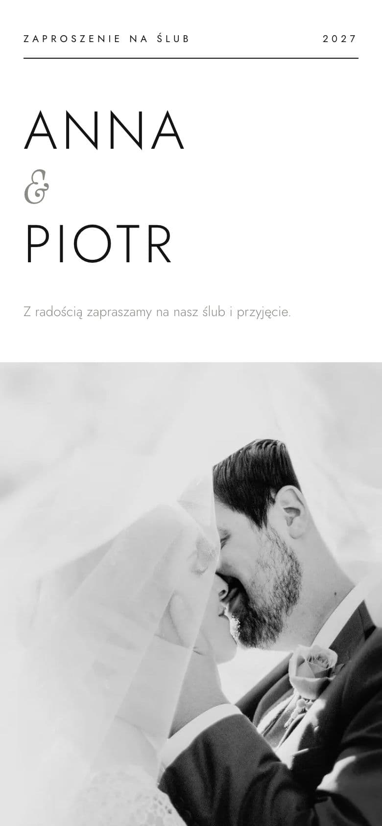 Szablon Modern Minimal